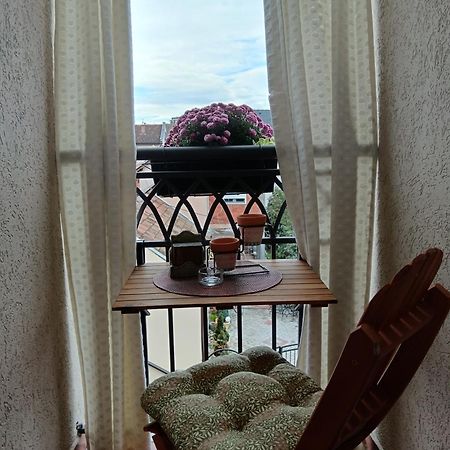 Apartman Element Kruševac エクステリア 写真