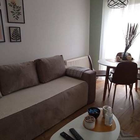 Apartman Element Kruševac エクステリア 写真