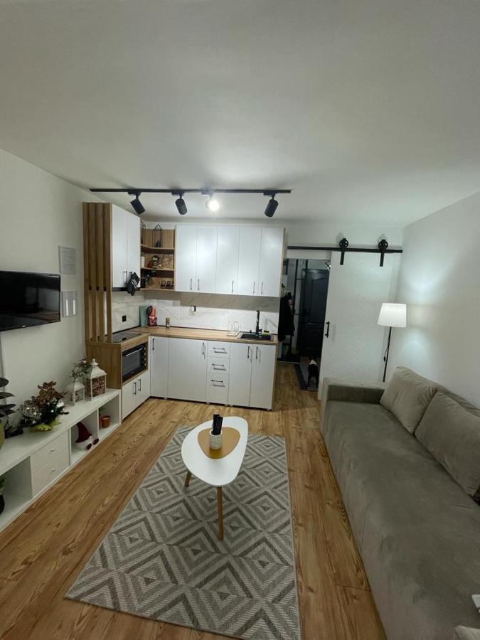 Apartman Element Kruševac エクステリア 写真
