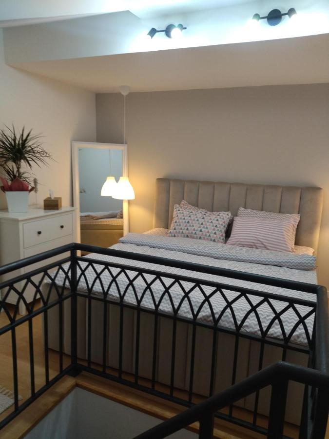 Apartman Element Kruševac エクステリア 写真
