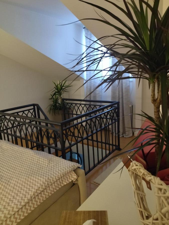 Apartman Element Kruševac エクステリア 写真