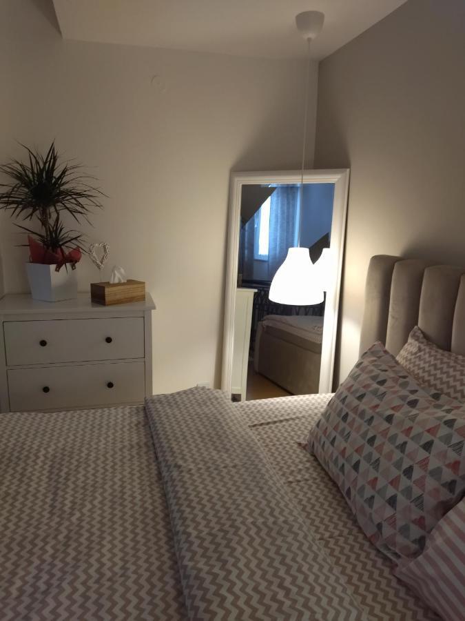 Apartman Element Kruševac エクステリア 写真