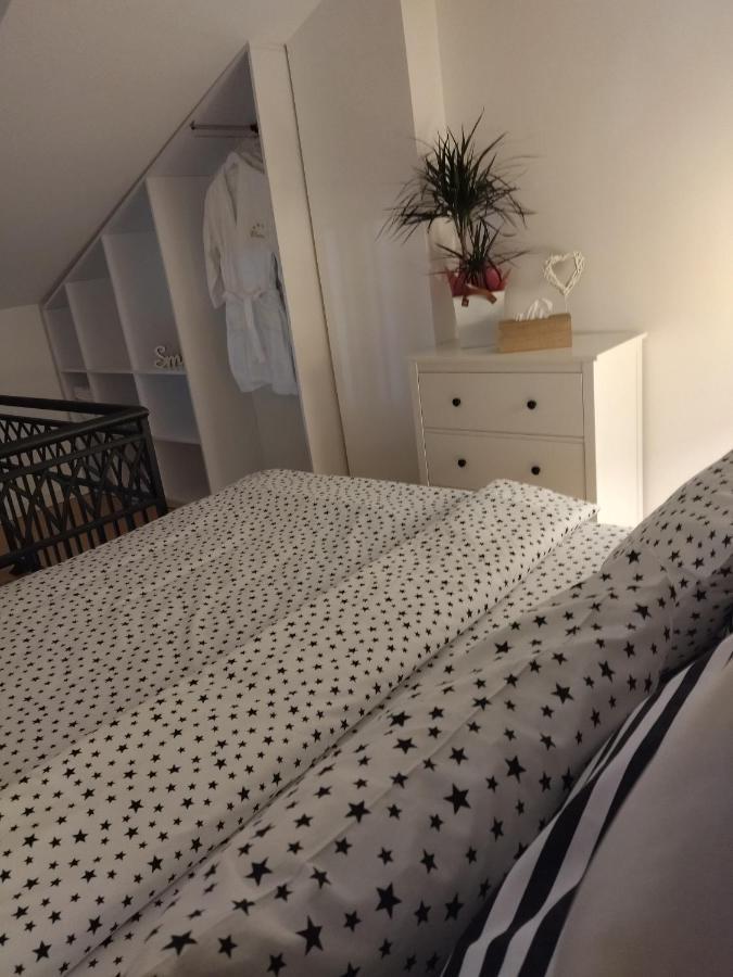 Apartman Element Kruševac エクステリア 写真
