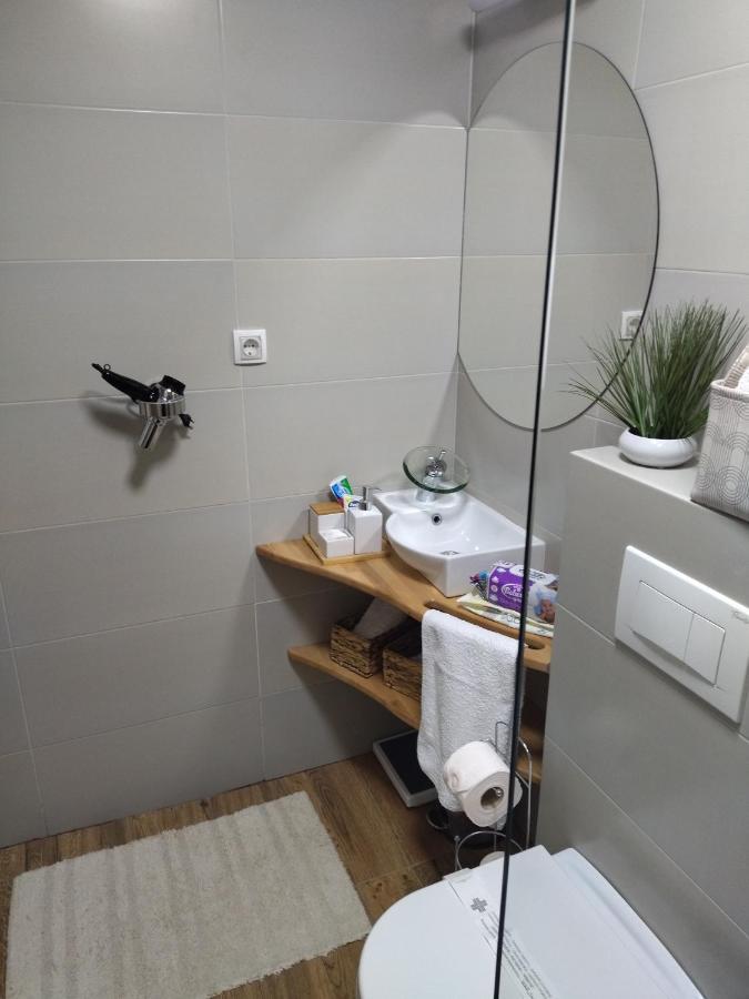 Apartman Element Kruševac エクステリア 写真
