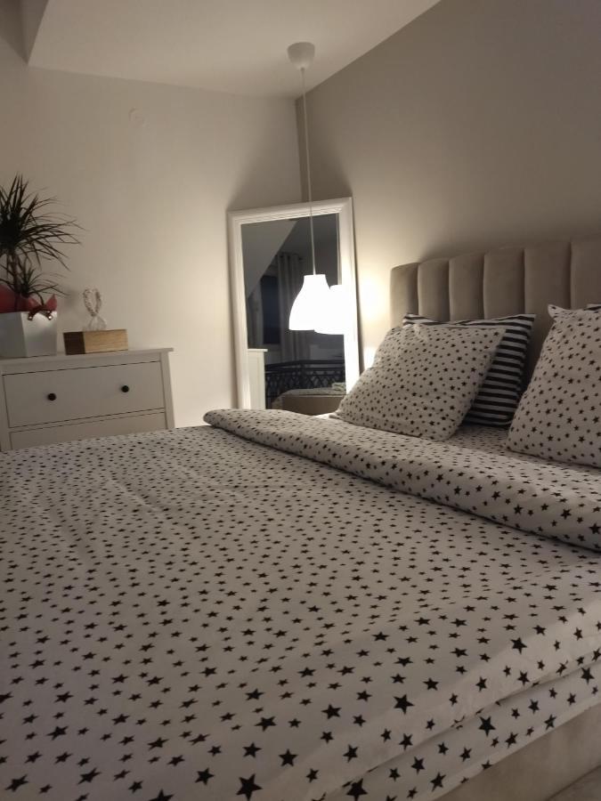 Apartman Element Kruševac エクステリア 写真