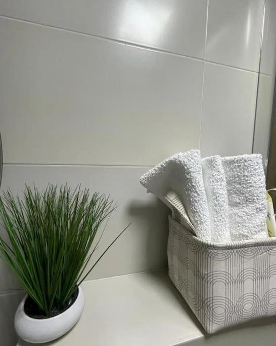 Apartman Element Kruševac エクステリア 写真