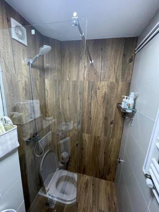 Apartman Element Kruševac エクステリア 写真