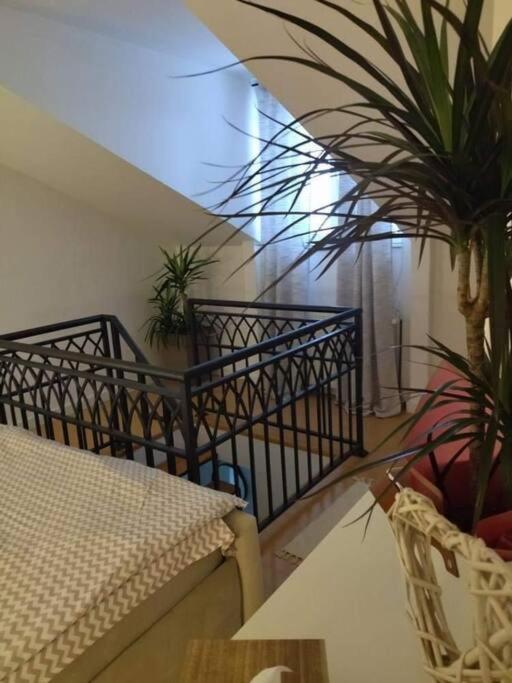 Apartman Element Kruševac エクステリア 写真