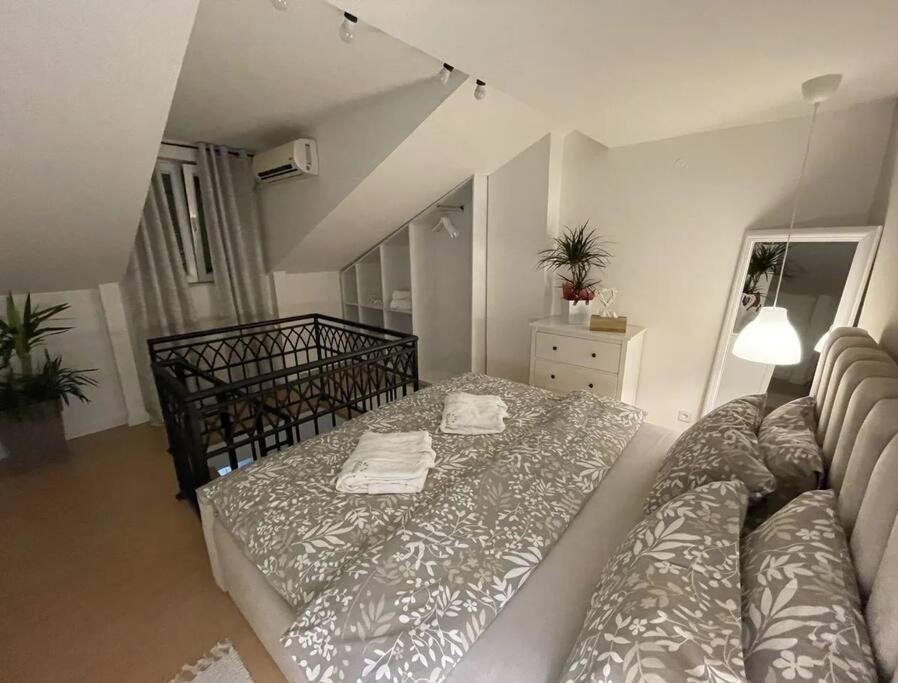 Apartman Element Kruševac エクステリア 写真